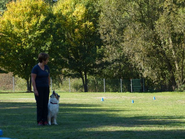 Obi-pruefung-herbst 2018