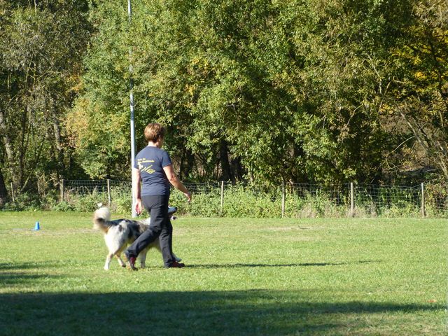 Obi-pruefung-herbst 2018