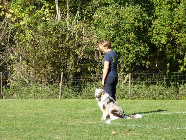 Obi-pruefung-herbst 2018