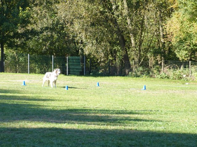 Obi-pruefung-herbst 2018