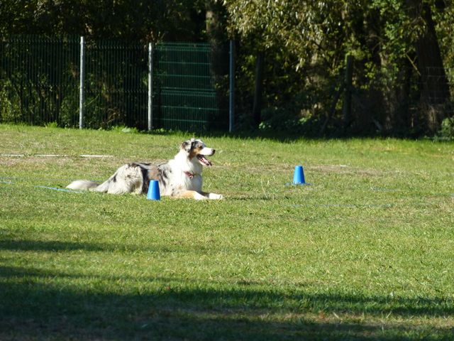 Obi-pruefung-herbst 2018