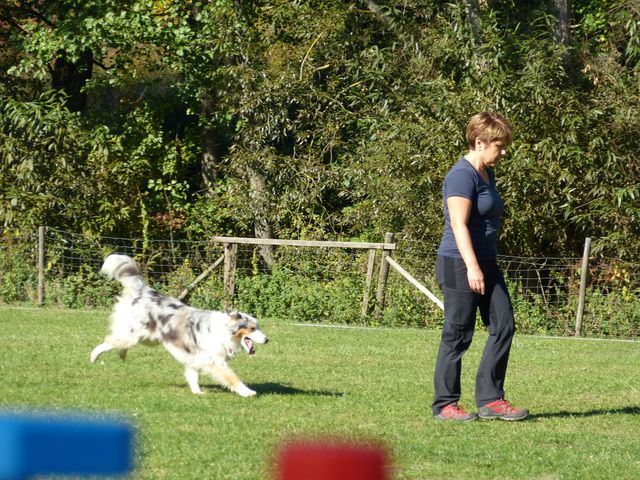 Obi-pruefung-herbst 2018