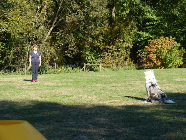 Obi-pruefung-herbst 2018