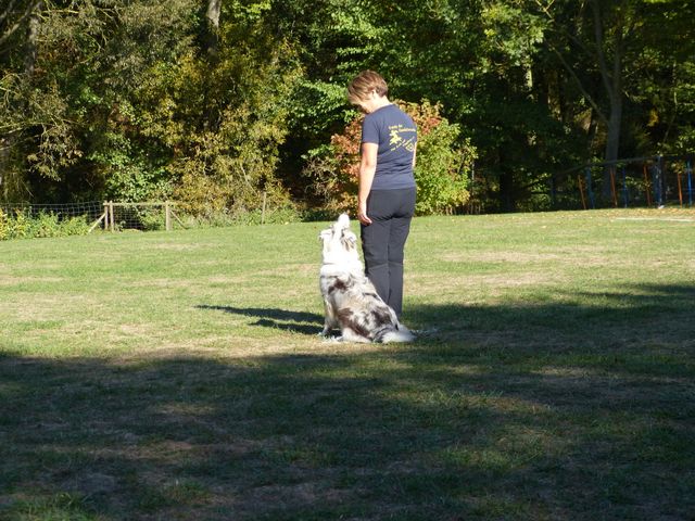 Obi-pruefung-herbst 2018