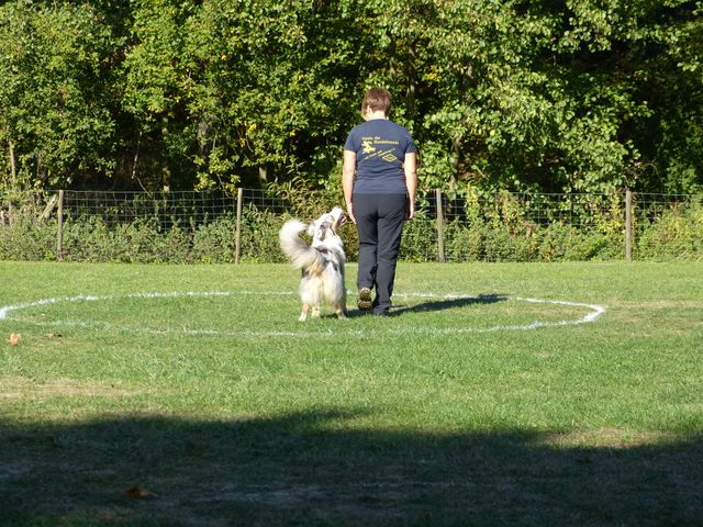 Obi-pruefung-herbst 2018