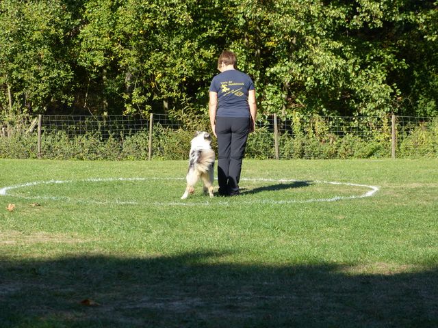 Obi-pruefung-herbst 2018