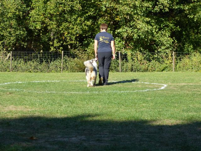 Obi-pruefung-herbst 2018