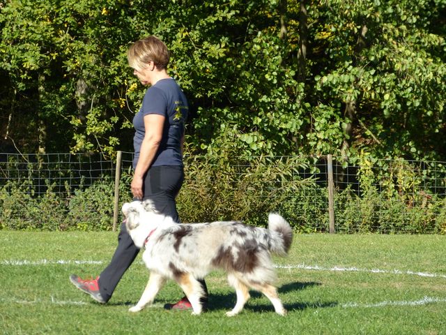 Obi-pruefung-herbst 2018