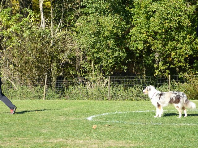 Obi-pruefung-herbst 2018