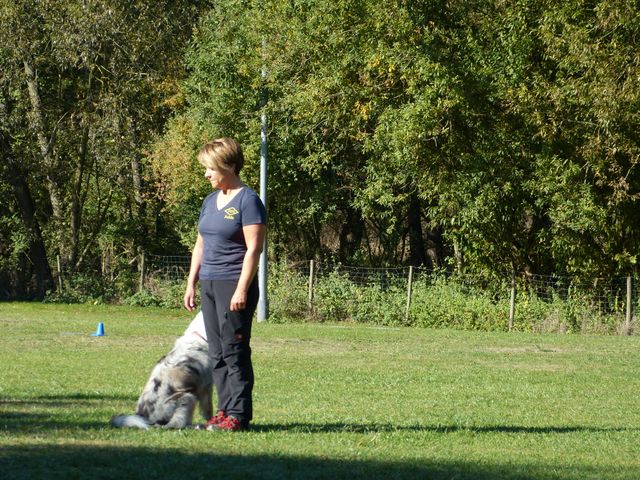 Obi-pruefung-herbst 2018