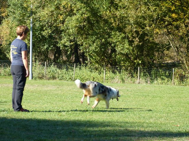 Obi-pruefung-herbst 2018