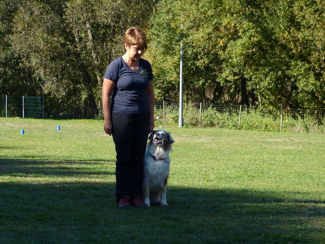 Obi-pruefung-herbst 2018