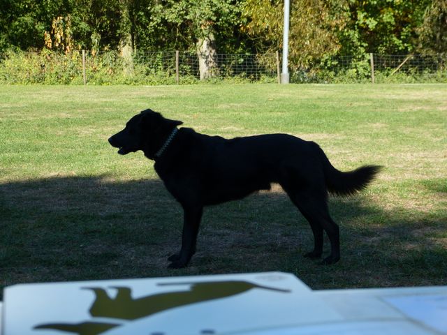 Obi-pruefung-herbst 2018