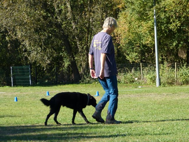 Obi-pruefung-herbst 2018