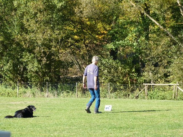 Obi-pruefung-herbst 2018