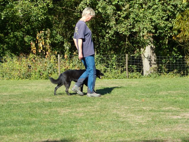 Obi-pruefung-herbst 2018