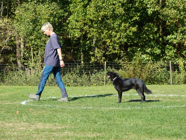 Obi-pruefung-herbst 2018