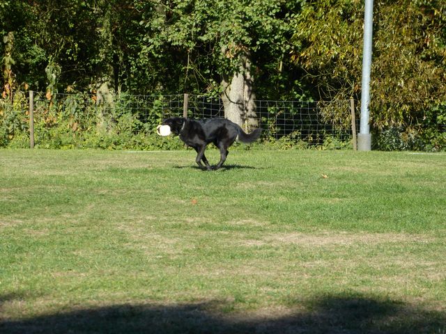 Obi-pruefung-herbst 2018