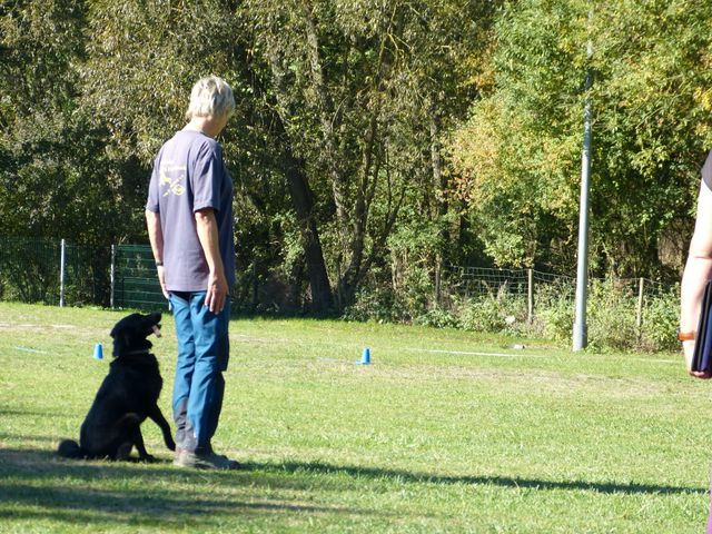 Obi-pruefung-herbst 2018