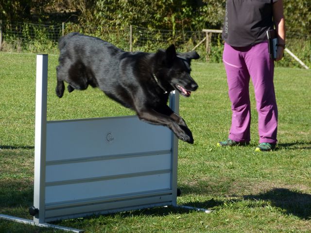 Obi-pruefung-herbst 2018