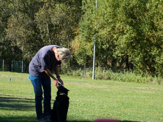 Obi-pruefung-herbst 2018