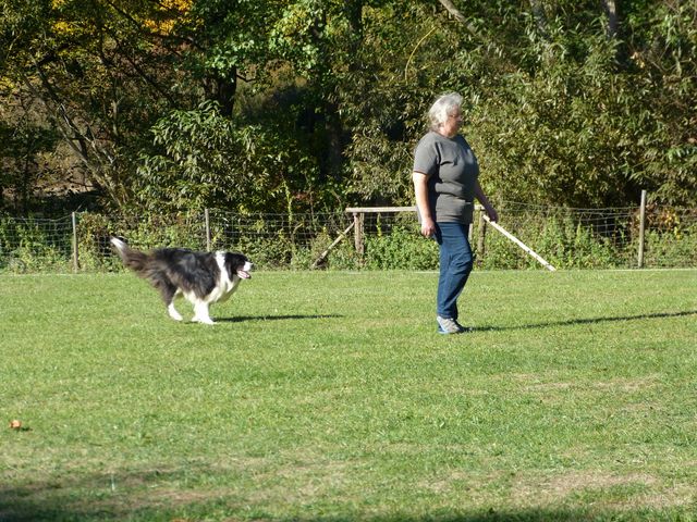 Obi-pruefung-herbst 2018