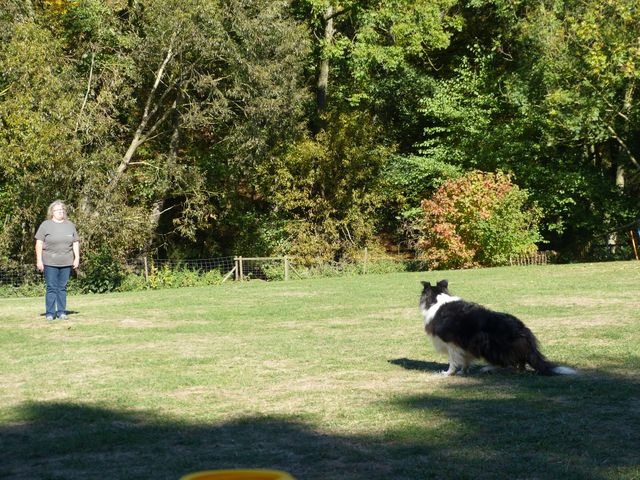 Obi-pruefung-herbst 2018