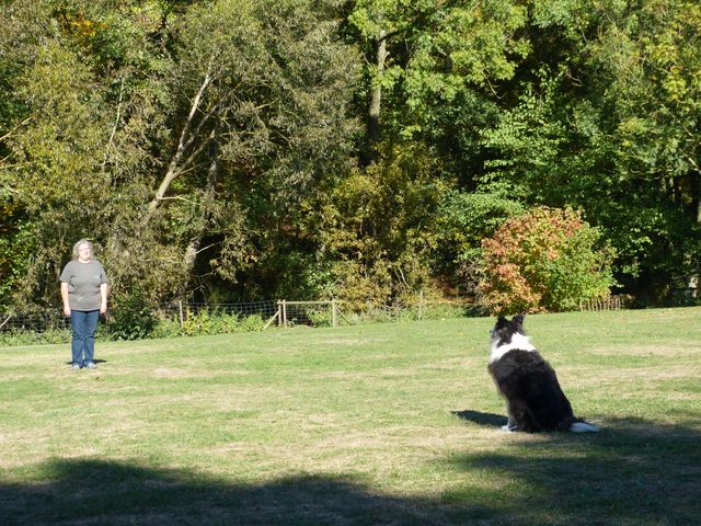 Obi-pruefung-herbst 2018