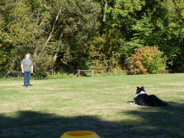 Obi-pruefung-herbst 2018