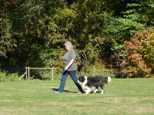 Obi-pruefung-herbst 2018