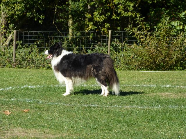 Obi-pruefung-herbst 2018