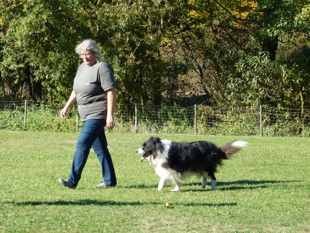Obi-pruefung-herbst 2018