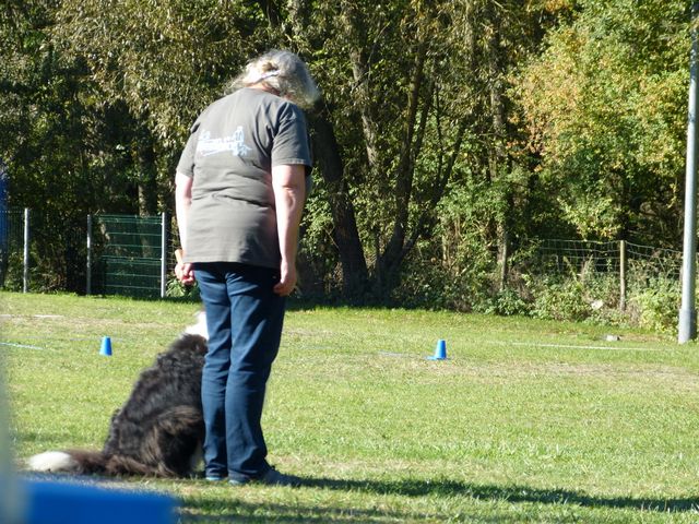 Obi-pruefung-herbst 2018