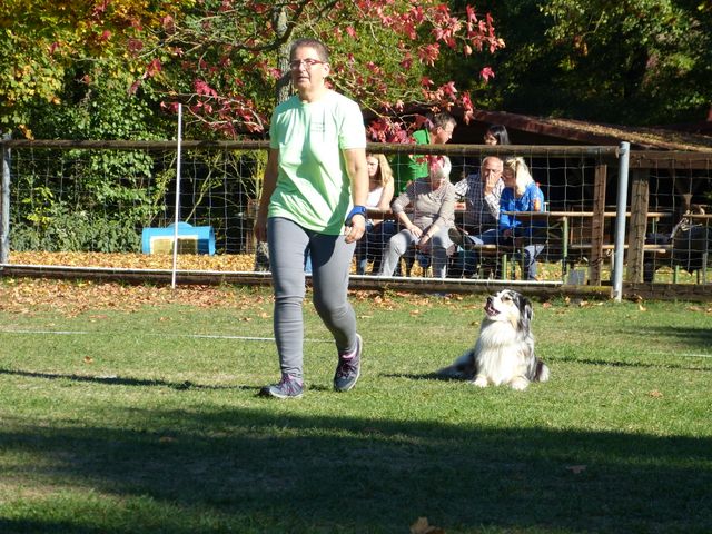 Obi-pruefung-herbst 2018