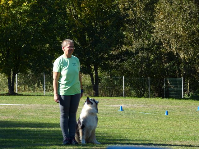Obi-pruefung-herbst 2018