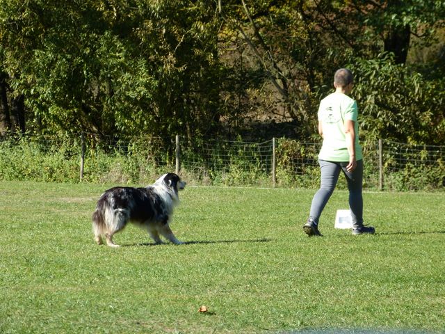 Obi-pruefung-herbst 2018