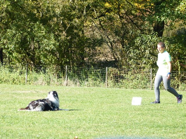 Obi-pruefung-herbst 2018