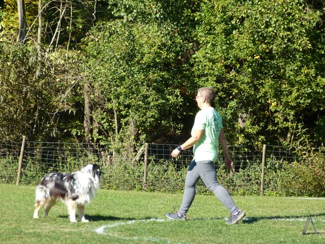Obi-pruefung-herbst 2018