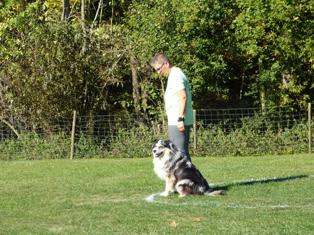 Obi-pruefung-herbst 2018