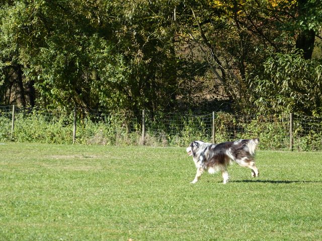Obi-pruefung-herbst 2018