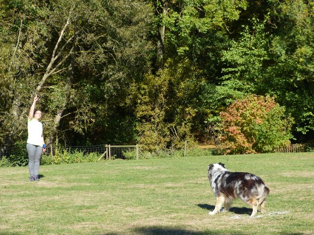 Obi-pruefung-herbst 2018