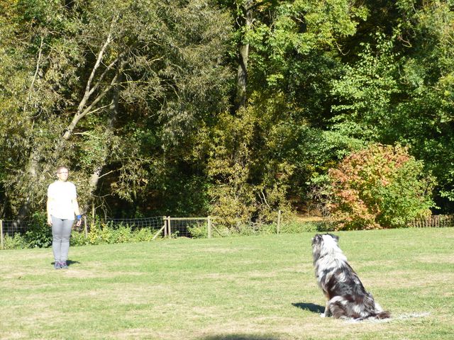 Obi-pruefung-herbst 2018