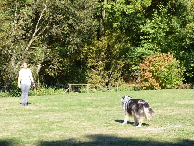 Obi-pruefung-herbst 2018