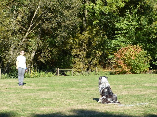 Obi-pruefung-herbst 2018