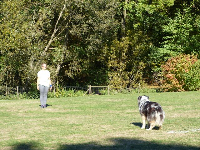 Obi-pruefung-herbst 2018