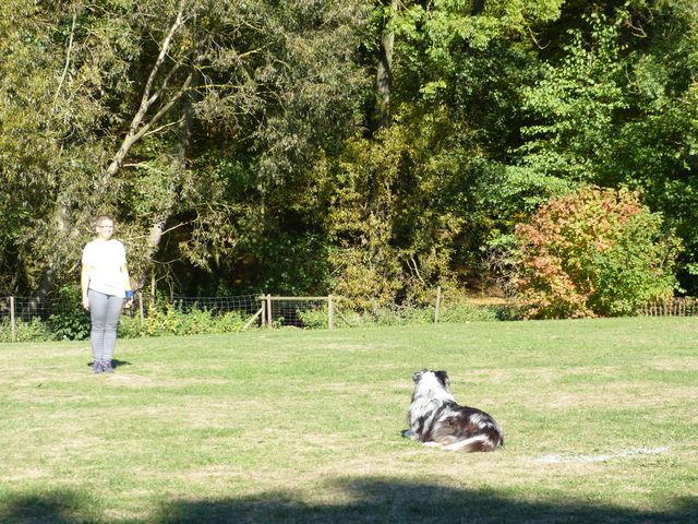 Obi-pruefung-herbst 2018