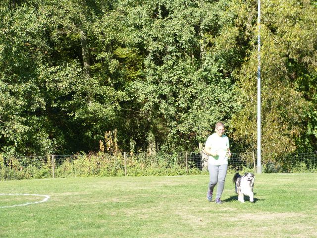 Obi-pruefung-herbst 2018