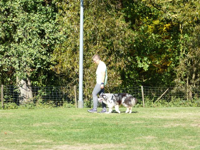 Obi-pruefung-herbst 2018