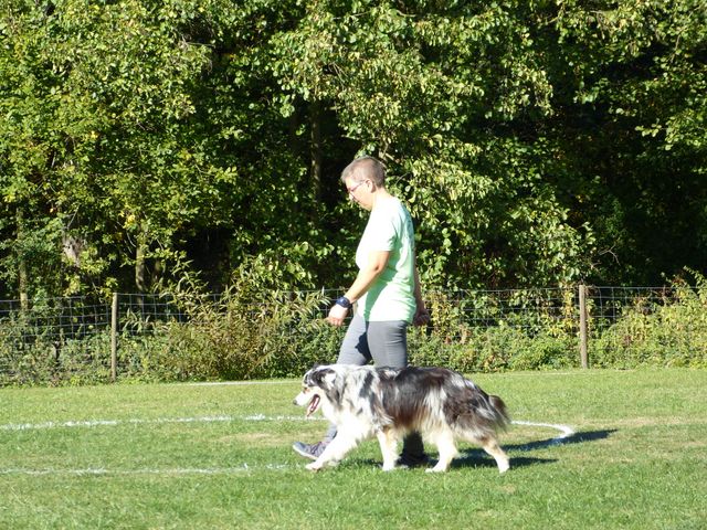 Obi-pruefung-herbst 2018