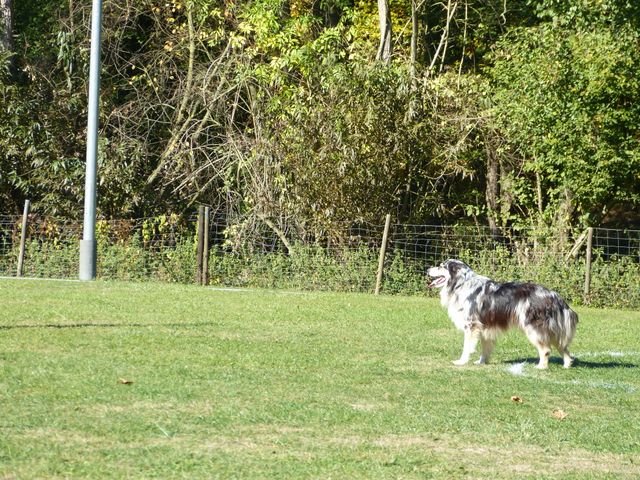 Obi-pruefung-herbst 2018